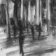 Dappled light by St… | £180 | | Charcoal Dappled light by St…