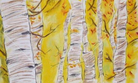 Yellow Birches