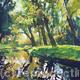 River Reflections 2