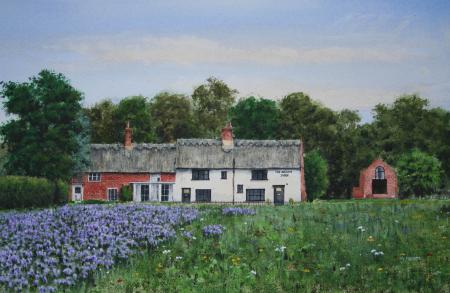 The Ingham Swan