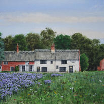 The Ingham Swan