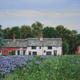 The Ingham Swan, Norfolk.