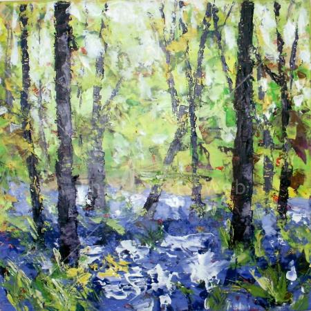 Bluebells at Linacre