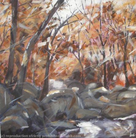 Pool at Padley Gorge
