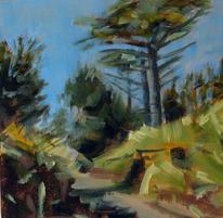 Cypress Tree Holyvale