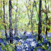 Bluebells at Linacre