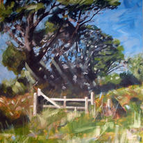 light in the trees