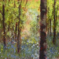 Bluebells
