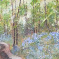 Path through the Bluebells