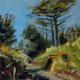 Cypress Tree Holyvale