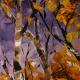 Autumn Leaves