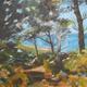 Innisidgen Cypress