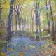 Spring at Linacre