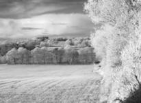 winter landscape