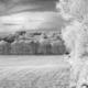 winter landscape