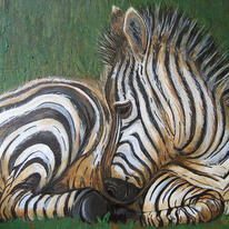 Baby zebra