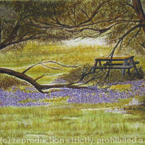 Bluebell wood