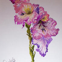 Gladioli