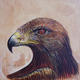 Eagle head | (sold) | | Acrylics Eagle head