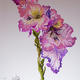 Gladioli | | | Watercolour Gladioli