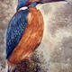 Kingfisher | (sold) | | Watercolour Kingfisher