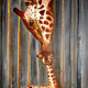 Tender love | | | Acrylics Tender love