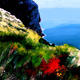 Cap Canille Cassis | £150 | 559 x 876cm | Acrylic Cap Canille Cassis