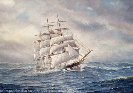 Wool Clipper