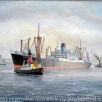 Dardanus in the Mersey