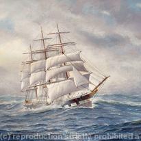 Wool Clipper