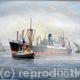 Dardanus in the Mersey