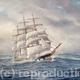 Wool Clipper