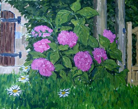 hydrangeas, moulin de larche