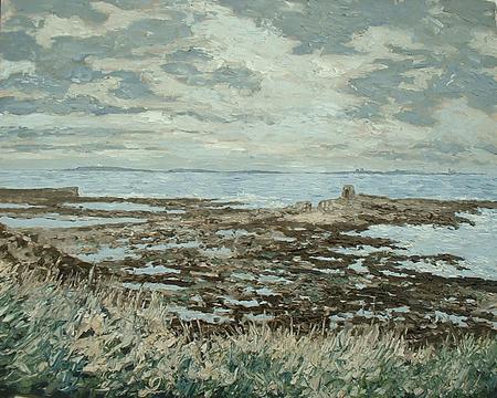 farne islands from seahouses