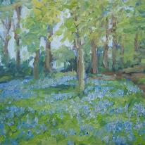 bluebells in may, standish