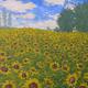 field of sunflowers | ¥5200 | 41 x 30cm | acrylic on canvas board field of sunflowers
