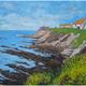 pittenweem cliffs[L]