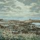 farne islands from seahouses