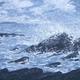 seascape in gray[L]