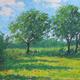 trees and wild poppies,…