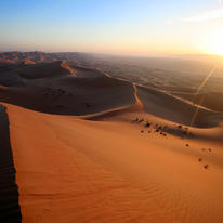 Liwa, UAE at dawn