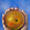 Orange Squash
