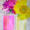 Still Life by Student