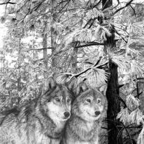<p><big>Wolves</big></p>