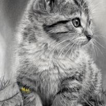 <p><big>Gotcha - Detail view</big></p>
