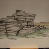 Top Tor Dartmoor