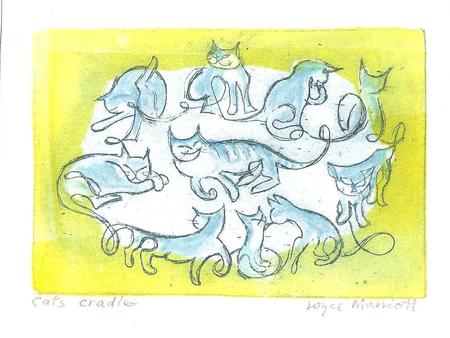 Cats Cradle