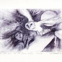 The Little Barn Owl Has Not Flown Away