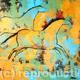 Coloured horses