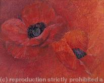 Poppies